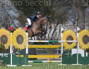 Rivetti Temple Road TosTour2013- S5 1515 : Arezzo, Rivetti Cassio, Temple Road, Toscana Tour 2013, foto di Stefano Secchi ©